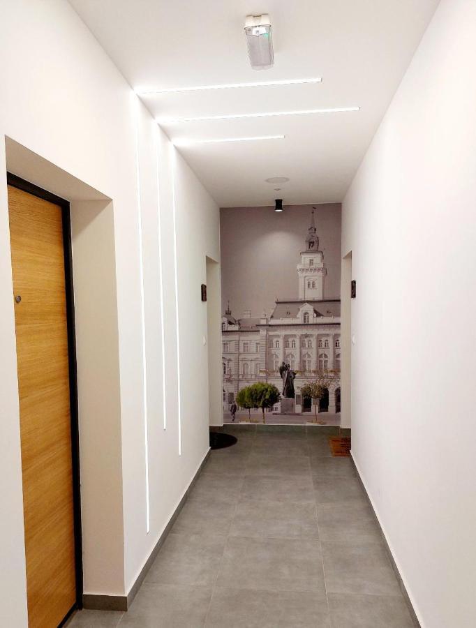 Kej Danube Lux Free Garage Apartment โนวีซาด ภายนอก รูปภาพ